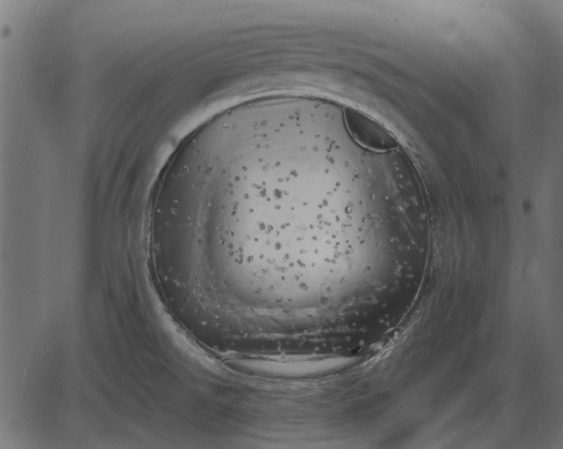 X0000082731526200702091825