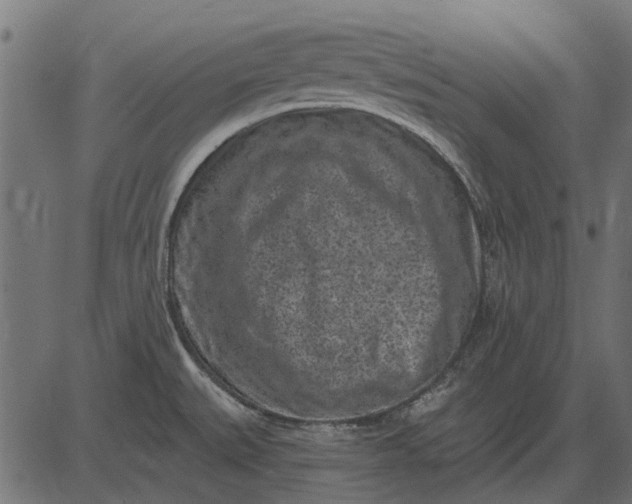 X0000082731527200702091825