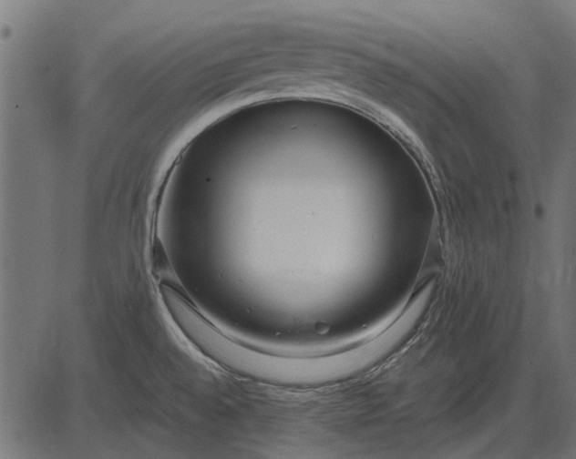 X0000082731528200702091825