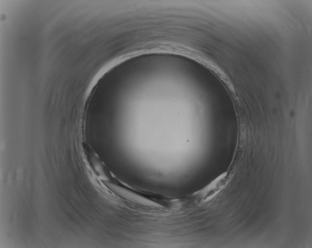 X0000082731530200702091825