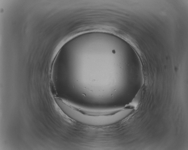 X0000082731532200702091825