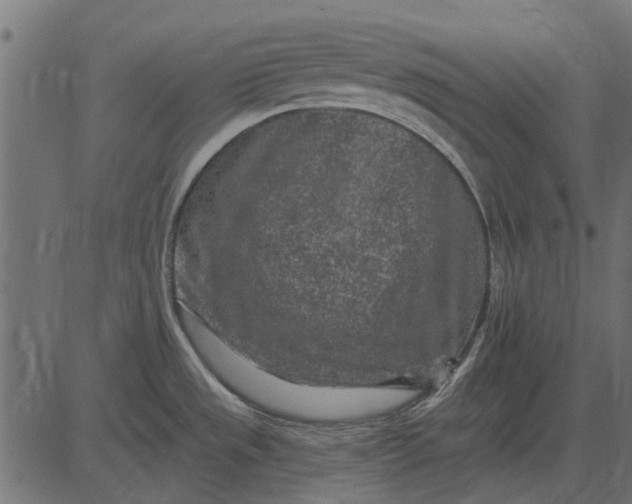 X0000082731533200702091825