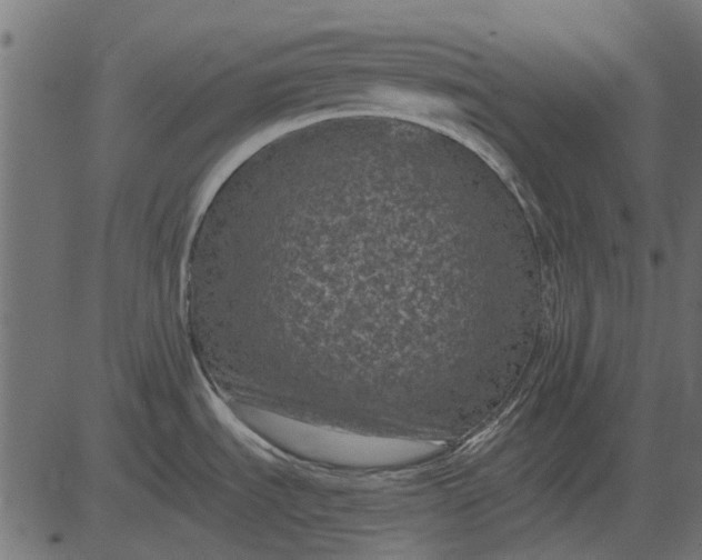 X0000082731535200702091825