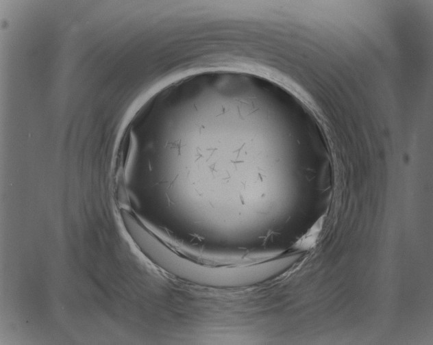 X0000082731536200702091825