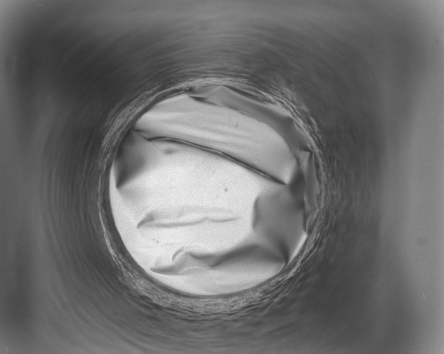 X0000082730001200702161919