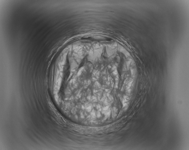 X0000082730002200702161919