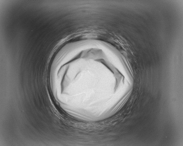 X0000082730003200702161919