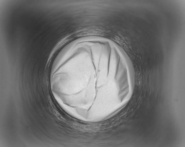 X0000082730004200702161919