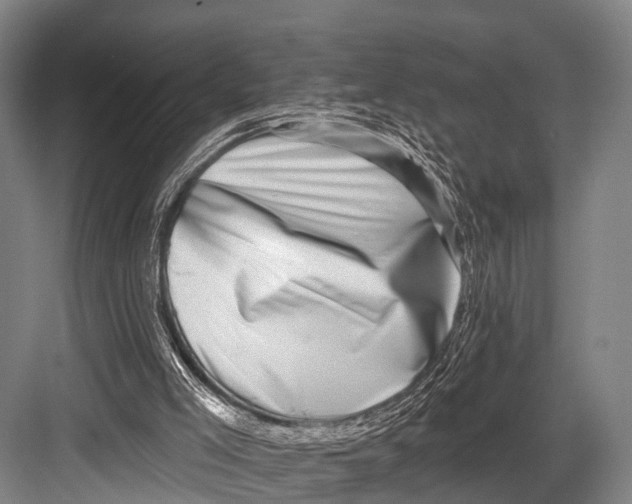 X0000082730005200702161919