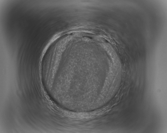 X0000082730006200702161919