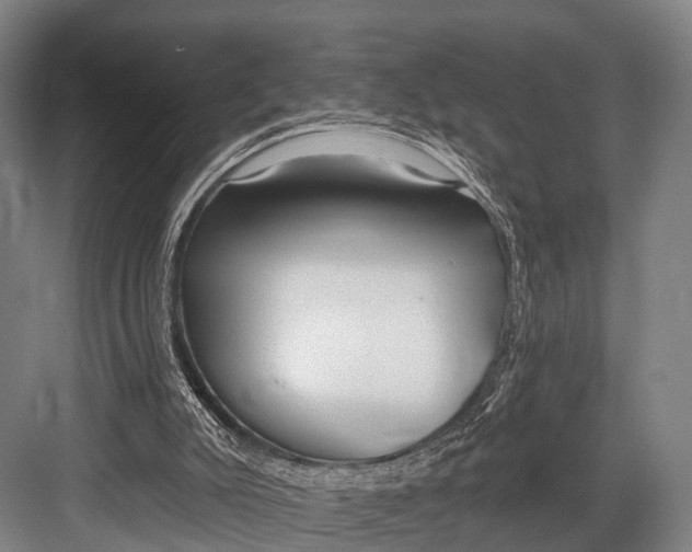 X0000082730007200702161919