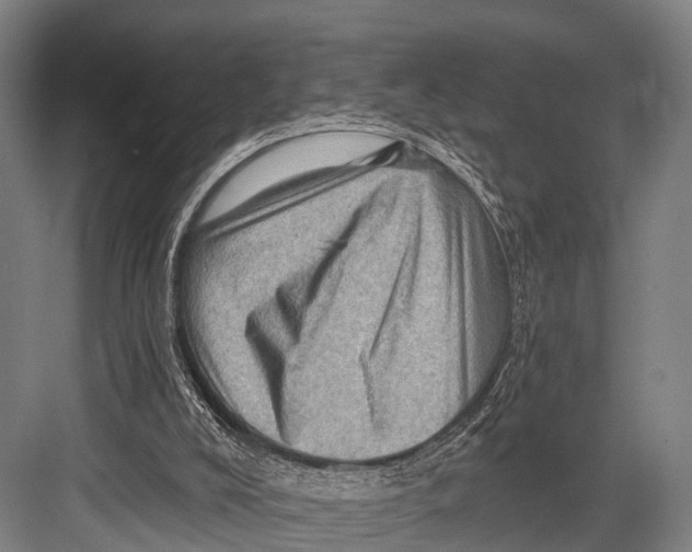 X0000082730008200702161919