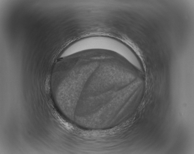 X0000082730009200702161919