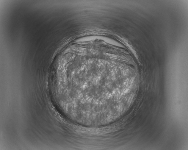 X0000082730010200702161919