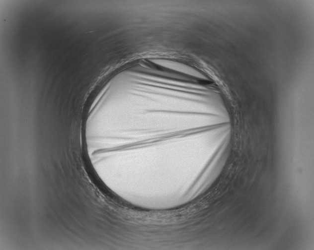 X0000082730011200702161919