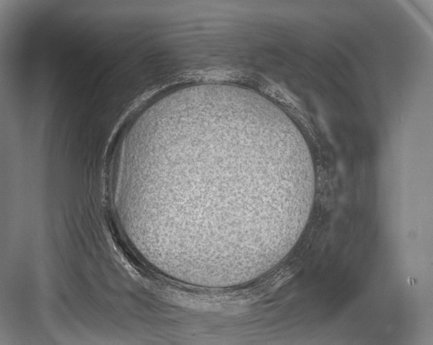 X0000082730012200702161919