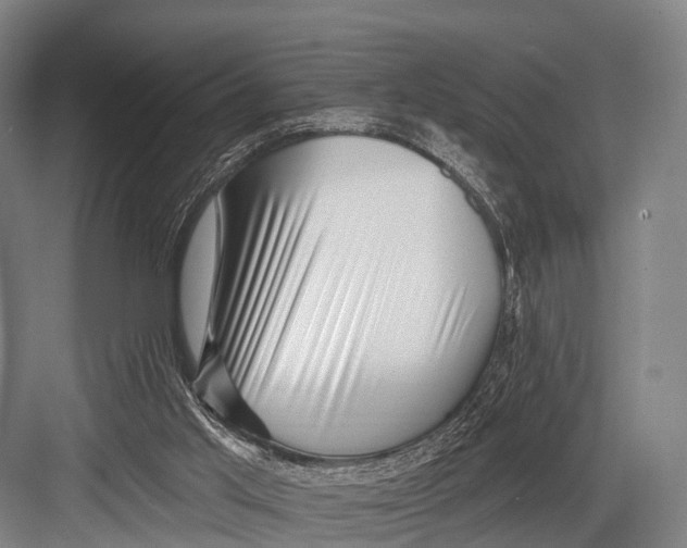 X0000082730013200702161919