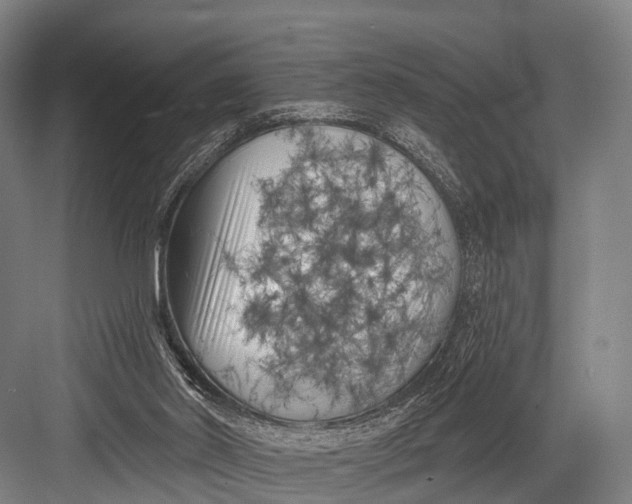 X0000082730014200702161919