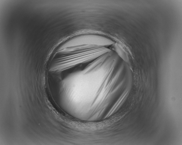 X0000082730015200702161919