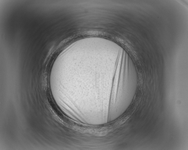 X0000082730016200702161919