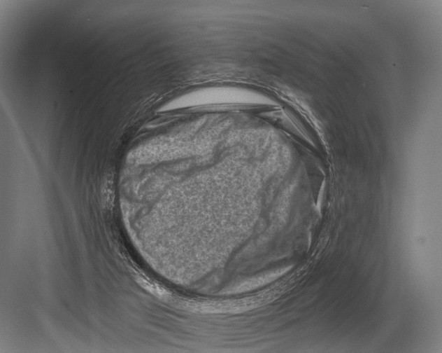 X0000082730017200702161919