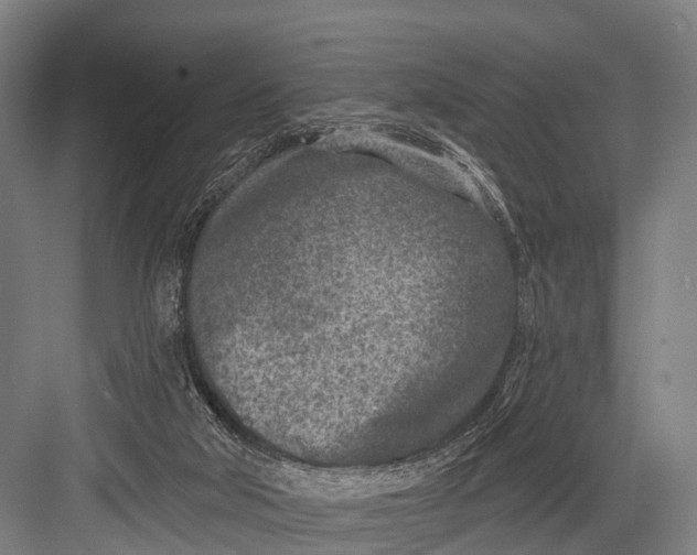 X0000082730018200702161919