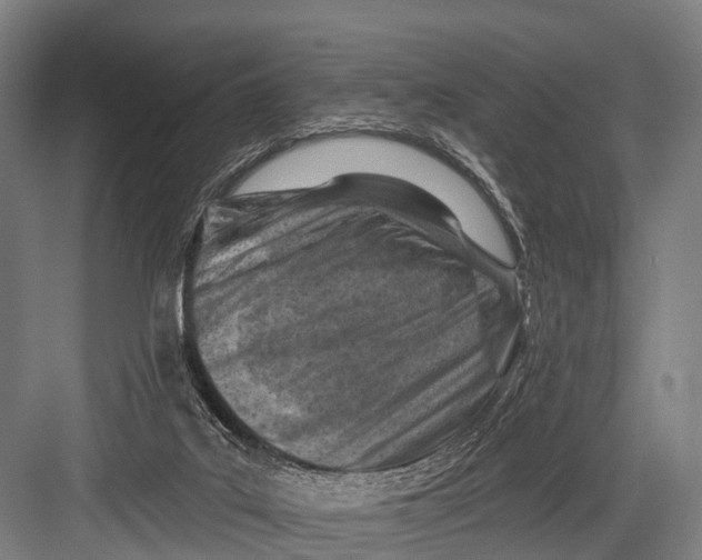 X0000082730019200702161919