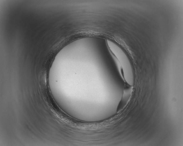 X0000082730021200702161919