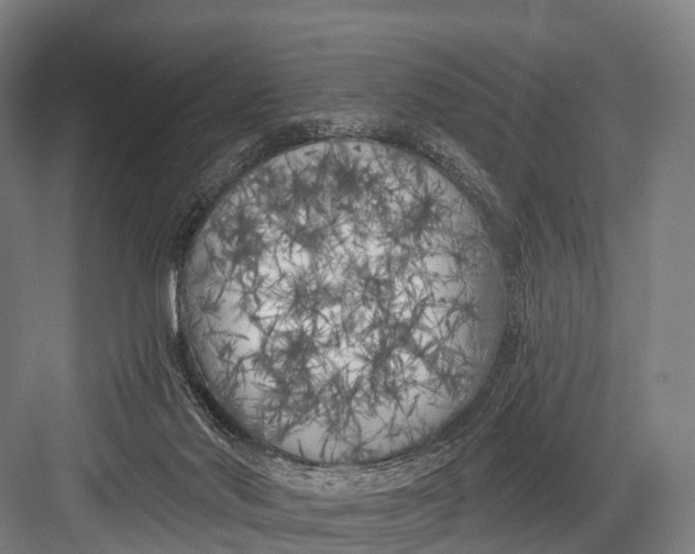 X0000082730022200702161919