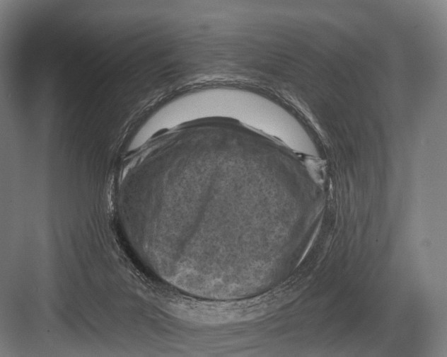 X0000082730023200702161919