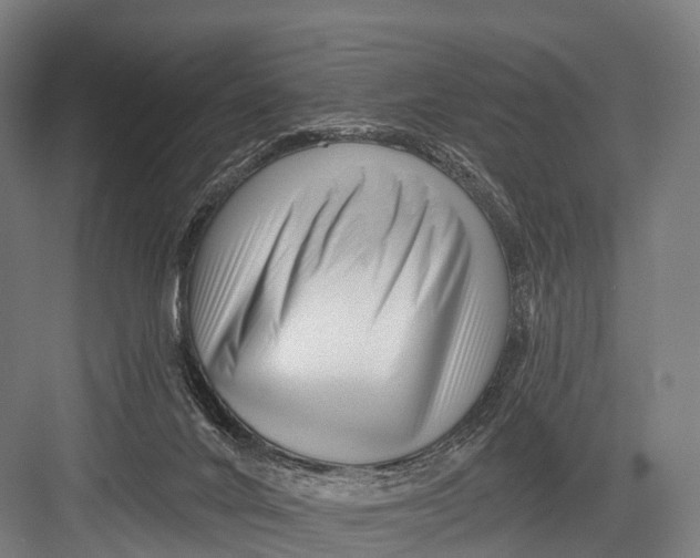 X0000082730024200702161919