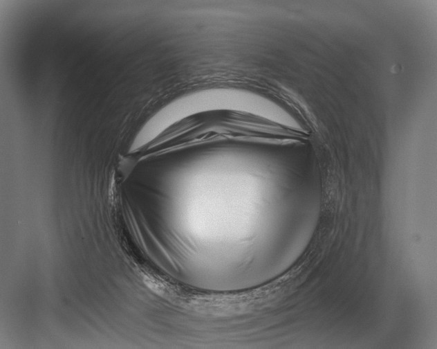 X0000082730025200702161919