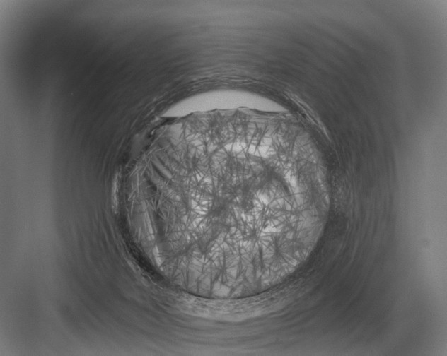 X0000082730026200702161919