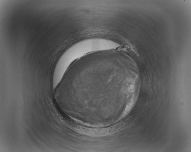 X0000082730027200702161919