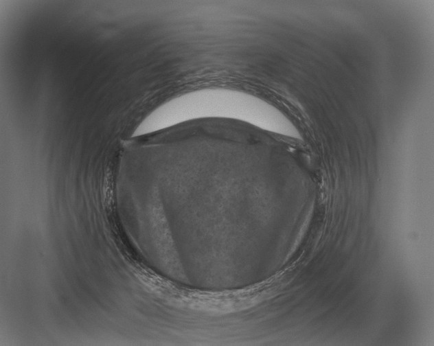 X0000082730029200702161919