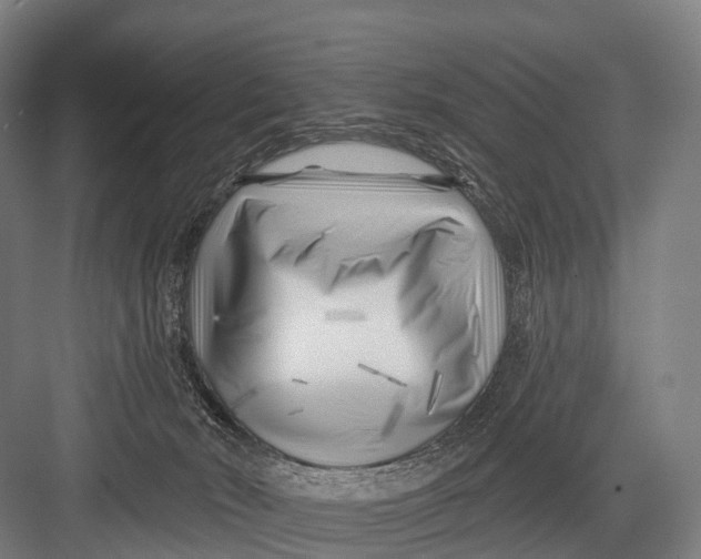 X0000082730030200702161919