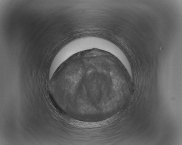 X0000082730031200702161919