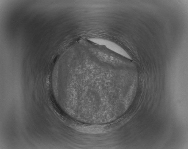 X0000082730032200702161919