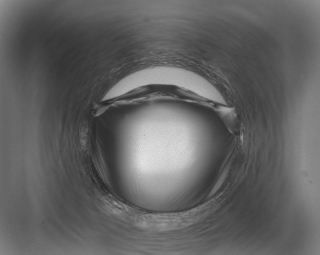 X0000082730033200702161919