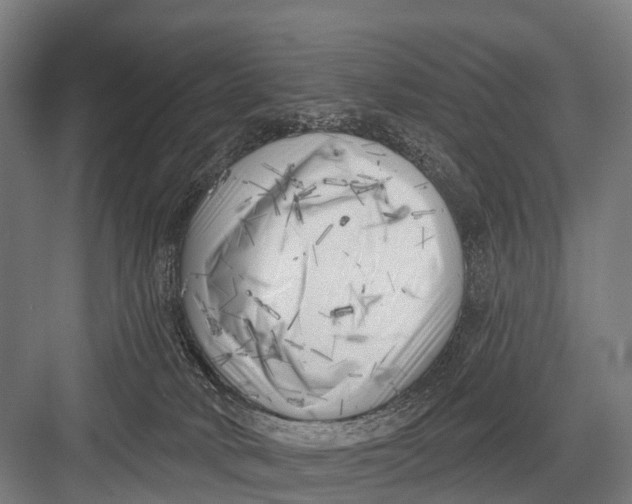 X0000082730034200702161919