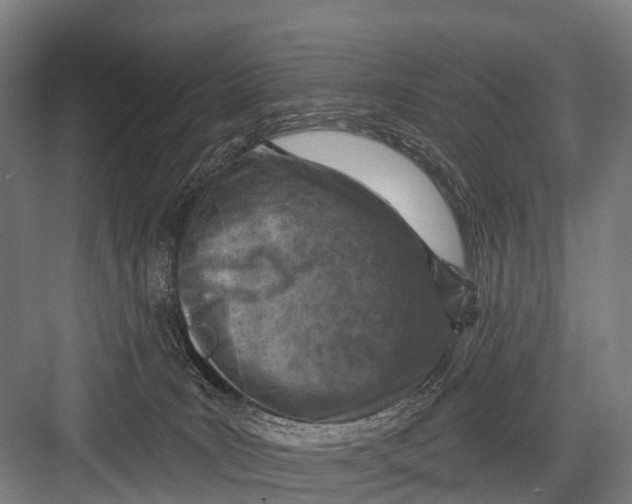 X0000082730035200702161919