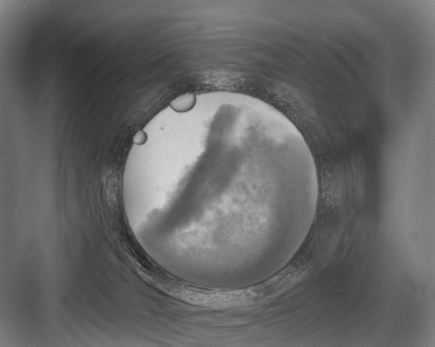 X0000082730036200702161919