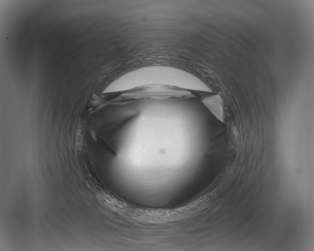 X0000082730037200702161919