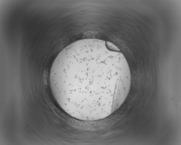 X0000082730038200702161919