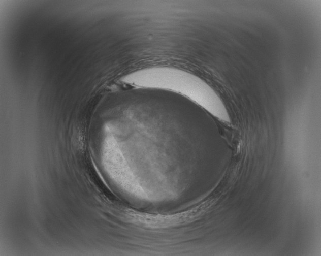 X0000082730039200702161918