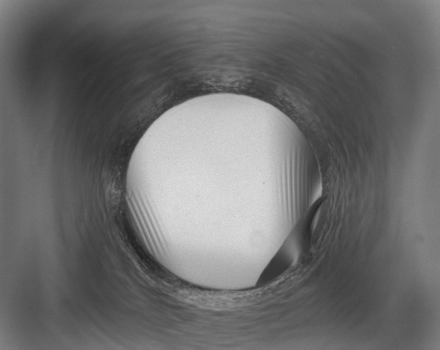 X0000082730040200702161918