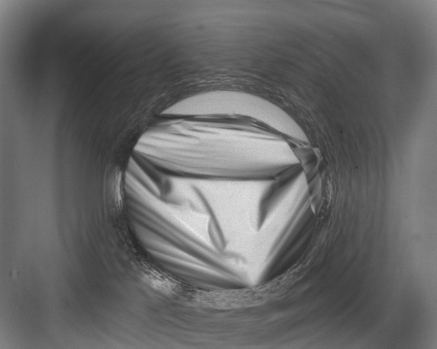 X0000082730041200702161918