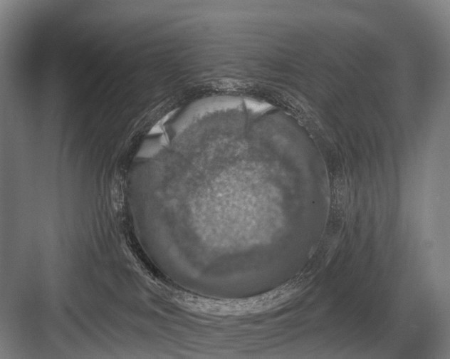 X0000082730043200702161918