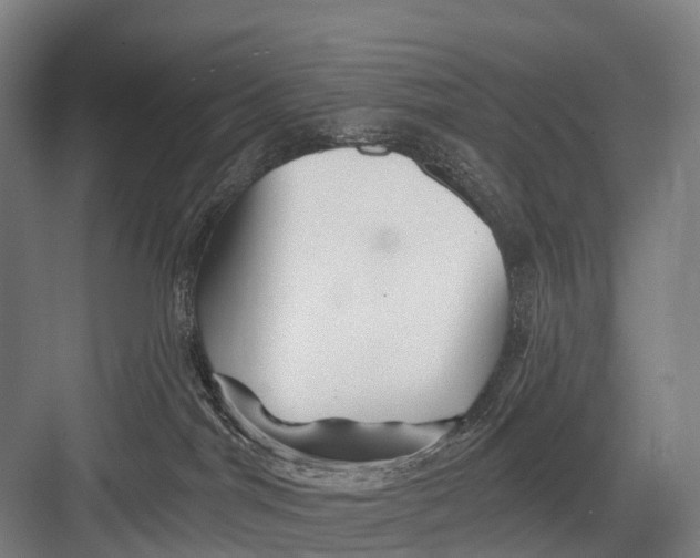 X0000082730044200702161918