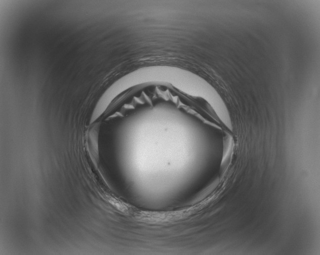 X0000082730045200702161918